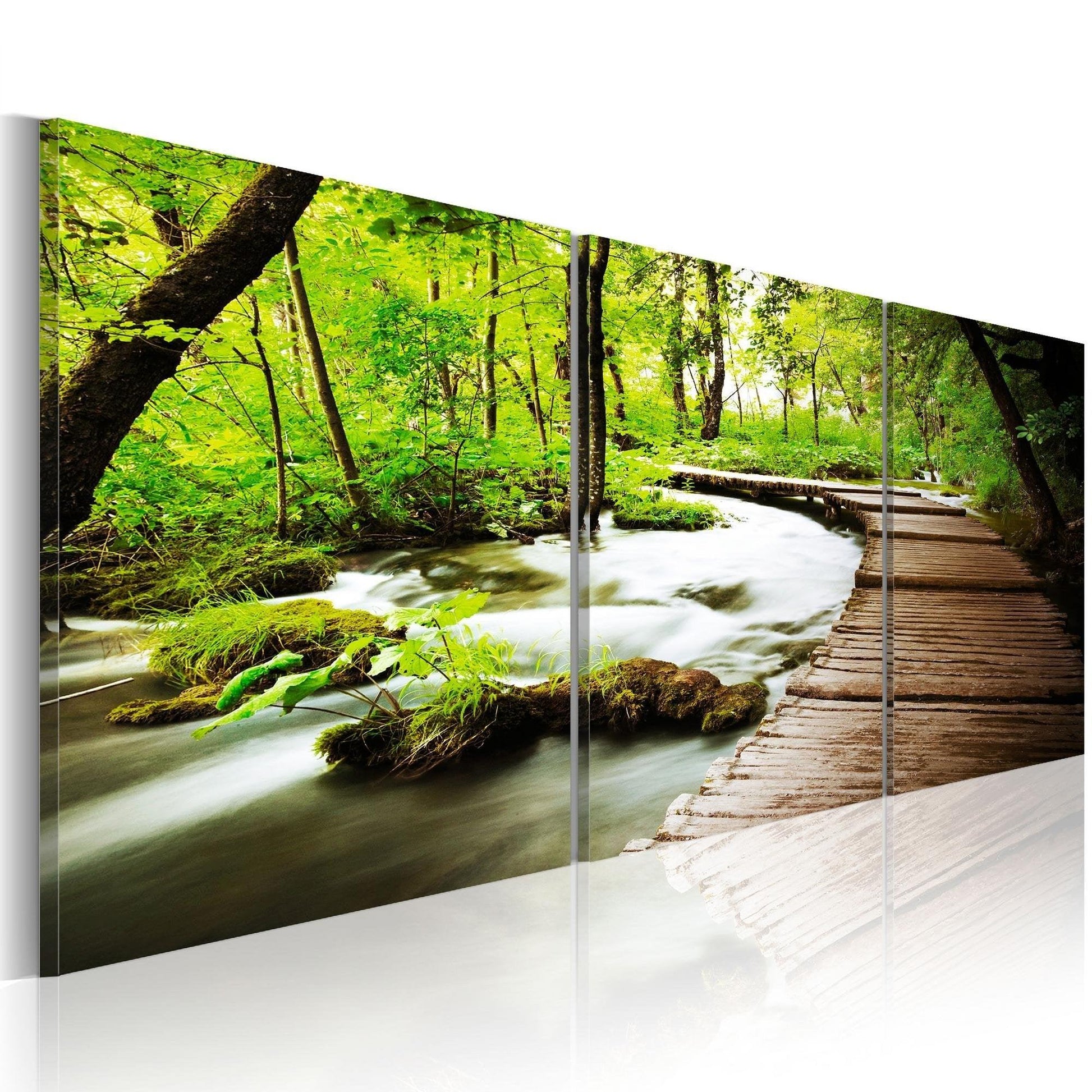 Canvas Print - Forest Brook - www.trendingbestsellers.com